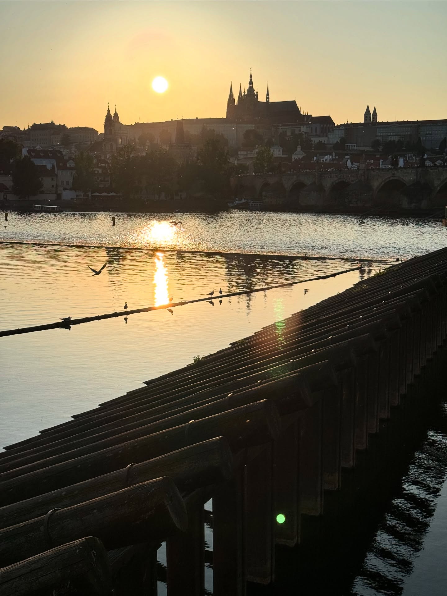 dnes je #slunovrat aneb #praha právě teď #soltice #prague #iphone15pro #noedit #nofilter